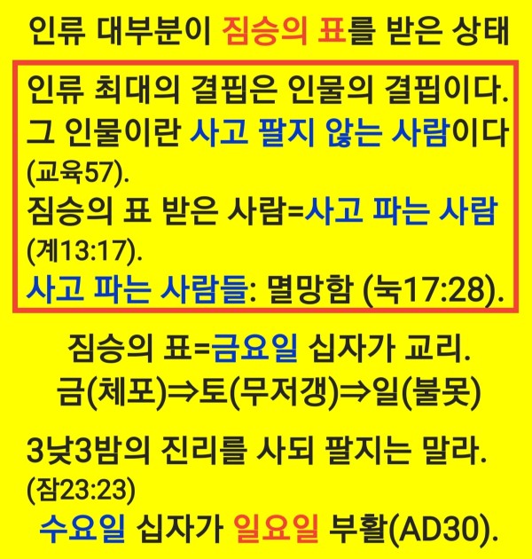 b09641734cb5c8cdca04057d4b4c8638_1783637594_7242.jpg